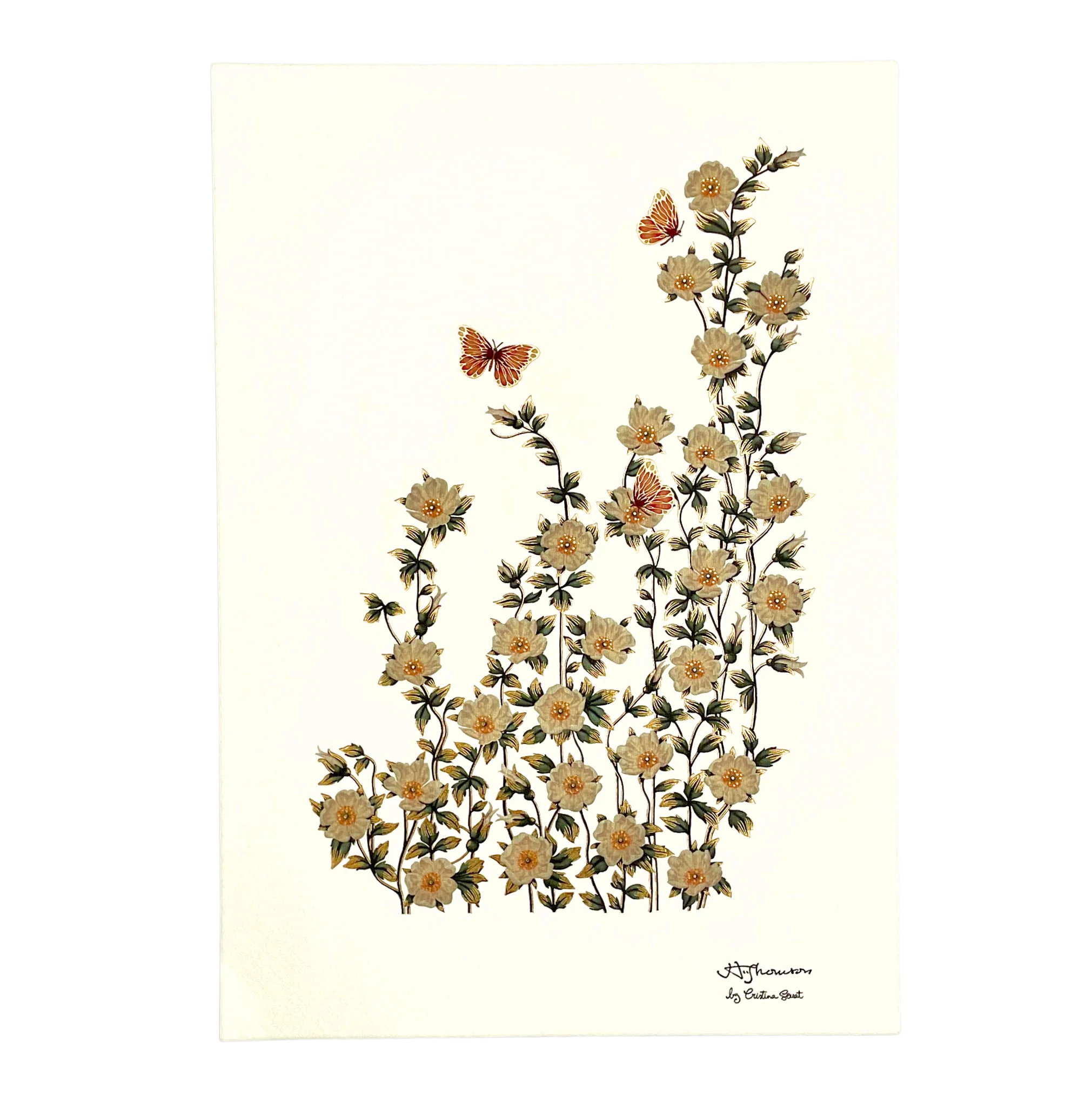Illustrations Set 1 - Image 3