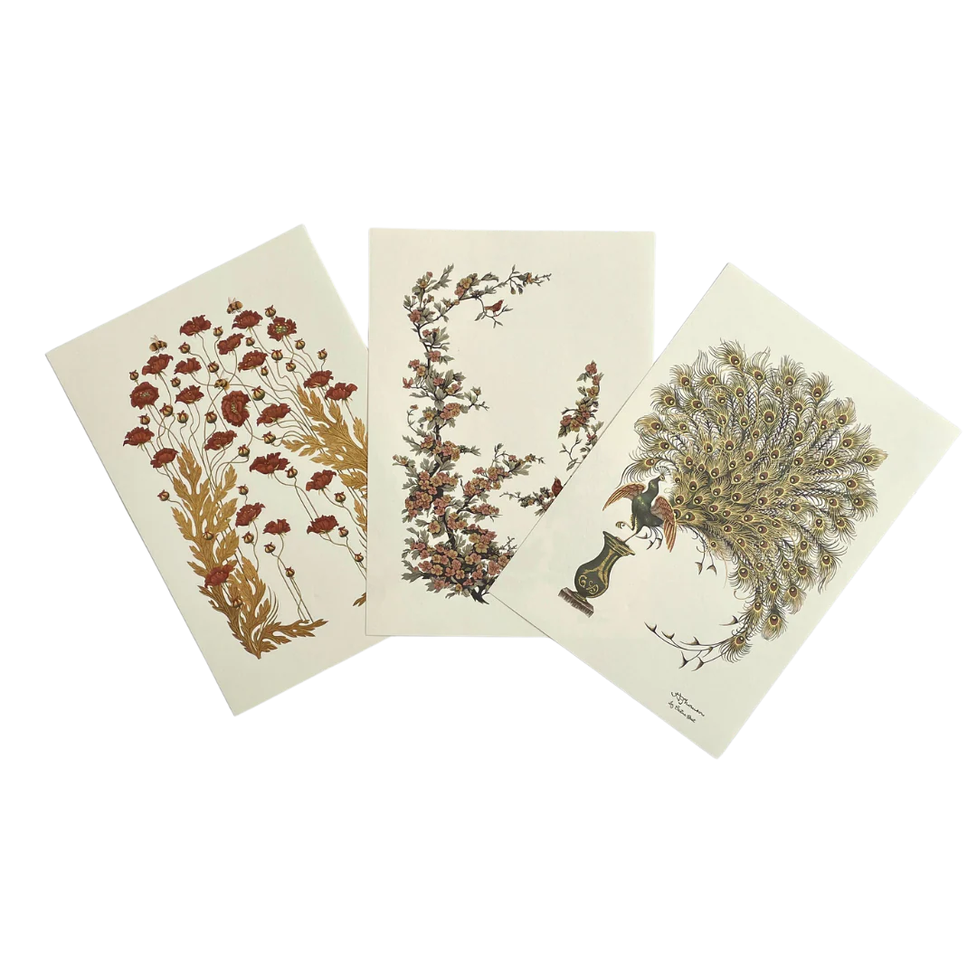Illustrations Set 2