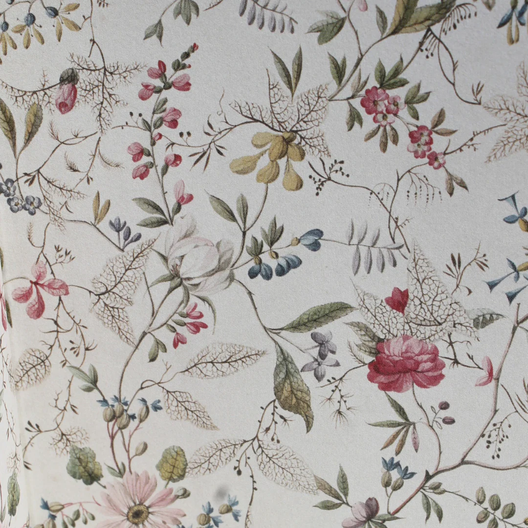 Emma - Wordsworth Heritage Collection - Image 2